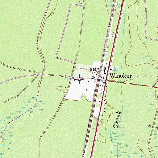 Topographic Map of Winokur Baptist Church, GA