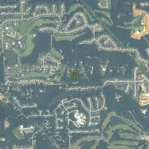 Aerial/Satellite Image of Fellowship Church, GA
