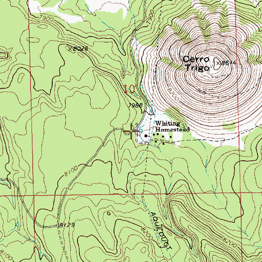 Topographic Map of Whiting Homestead, AZ