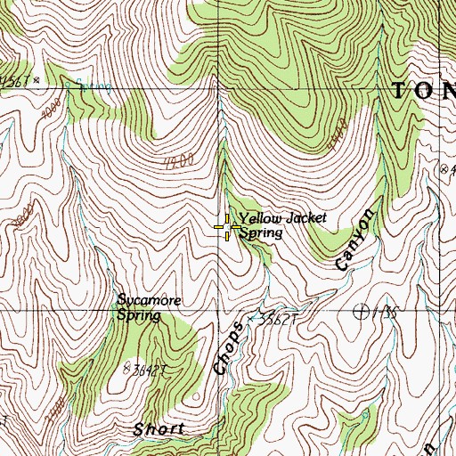 Topographic Map of Yellow Jacket Spring, AZ