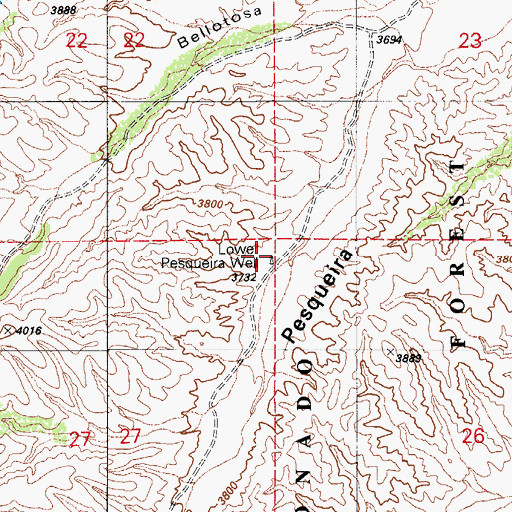 Topographic Map of Lower Pesquira Well, AZ