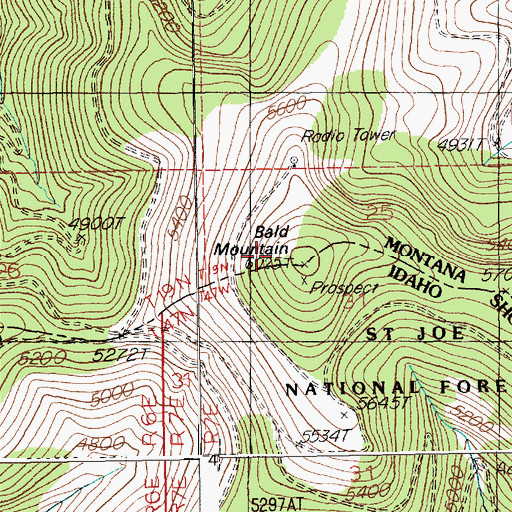 Topographic Map of Bald Mountain, ID