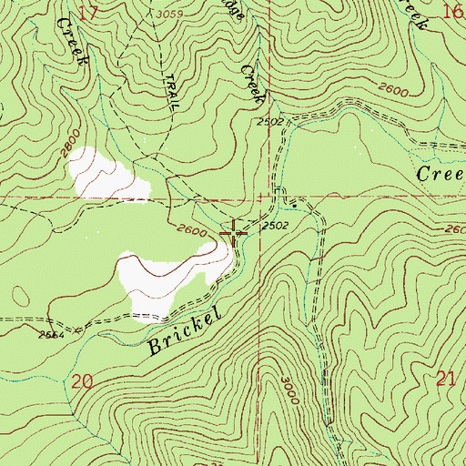 Topographic Map of Blister Rust Creek, ID