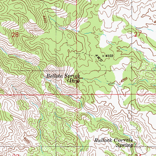 Topographic Map of Bellota Spring, AZ