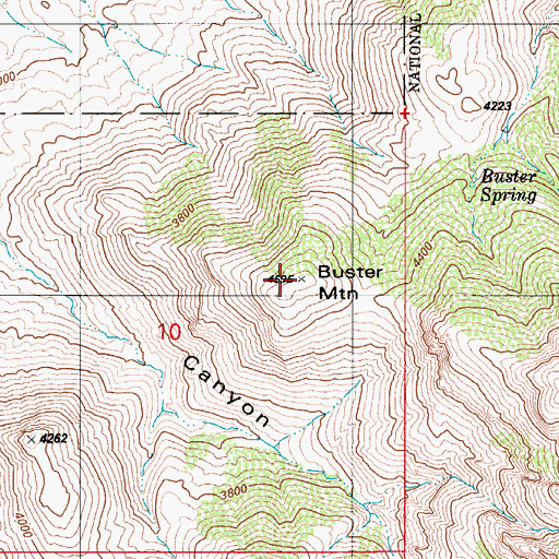 Topographic Map of Buster Mountain, AZ