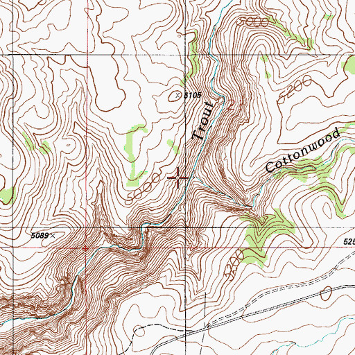 Topographic Map of Cottonwood Creek, ID