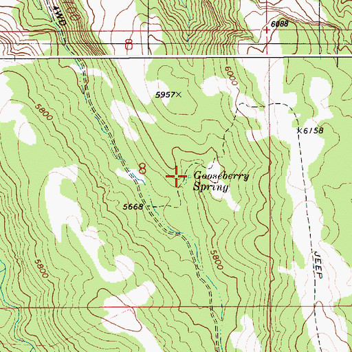 Topographic Map of Gooseberry Spring, ID
