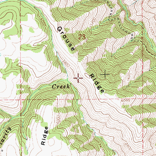 Topographic Map of Grouse Ridge, ID