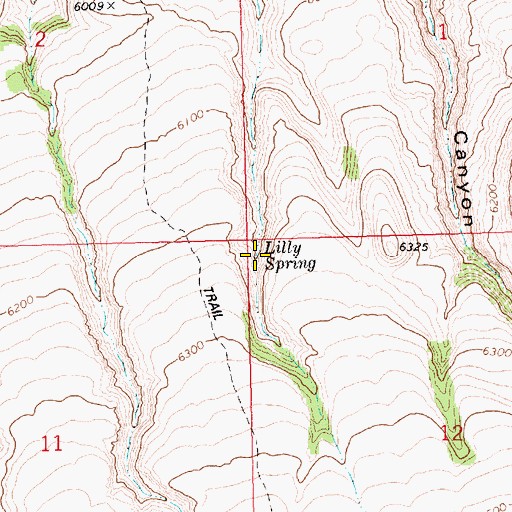 Topographic Map of Lilly Spring, ID