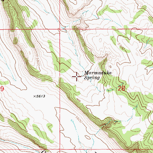 Topographic Map of Marmaduke Spring, ID