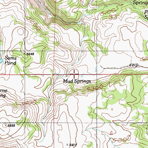 Topographic Map of Mud Springs, ID