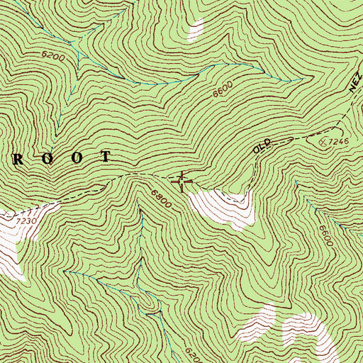 Topographic Map of Old Nez Perce Trail, ID
