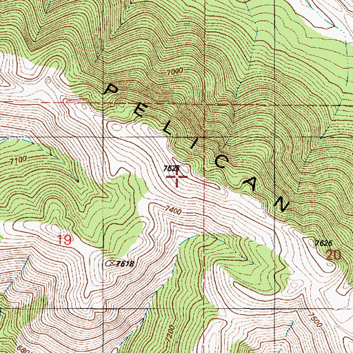 Topographic Map of Pelican Ridge, ID