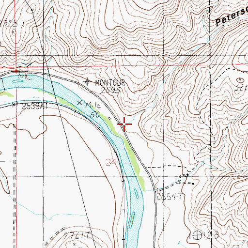 Topographic Map of Peterson Gulch, ID
