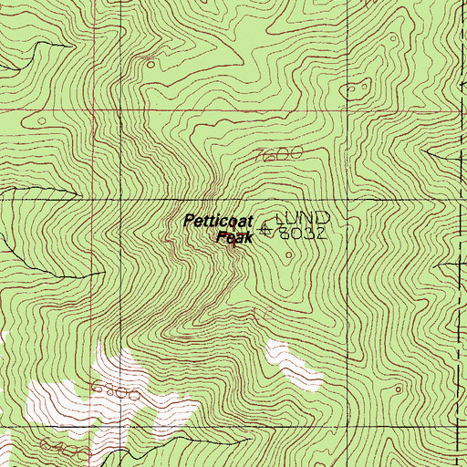Topographic Map of Petticoat Peak, ID