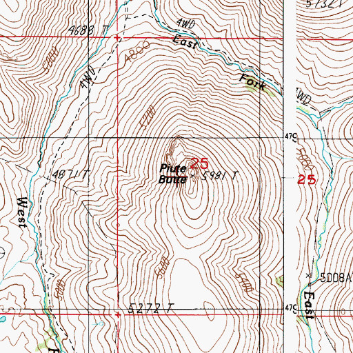 Topographic Map of Piute Butte, ID