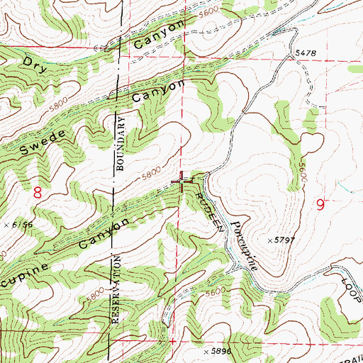 Topographic Map of Porcupine Canyon, ID