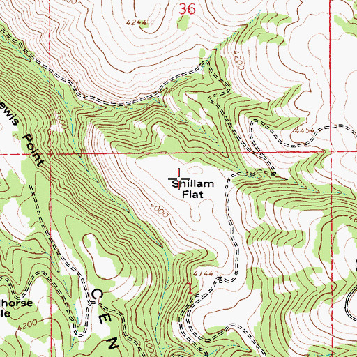 Topographic Map of Shillam Flat, ID