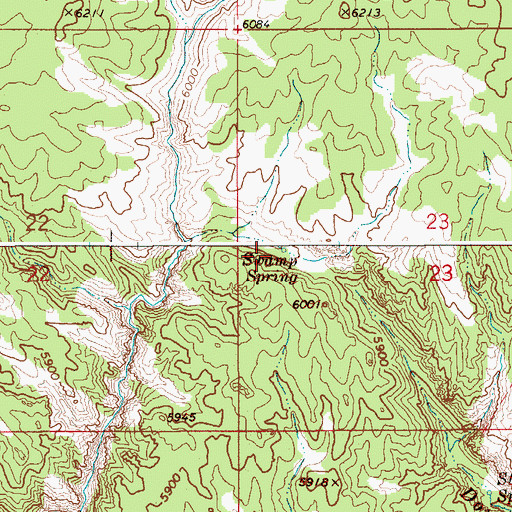 Topographic Map of Swamp Spring, ID