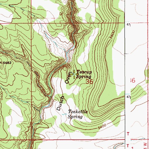 Topographic Map of Teacup Spring, ID