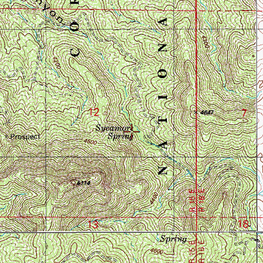 Topographic Map of Sycamore Spring, AZ