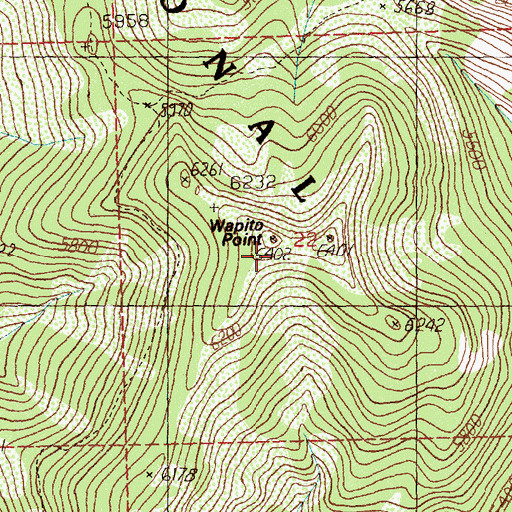 Topographic Map of Wapito Point, ID