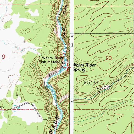 Topographic Map of Warm River Spring, ID