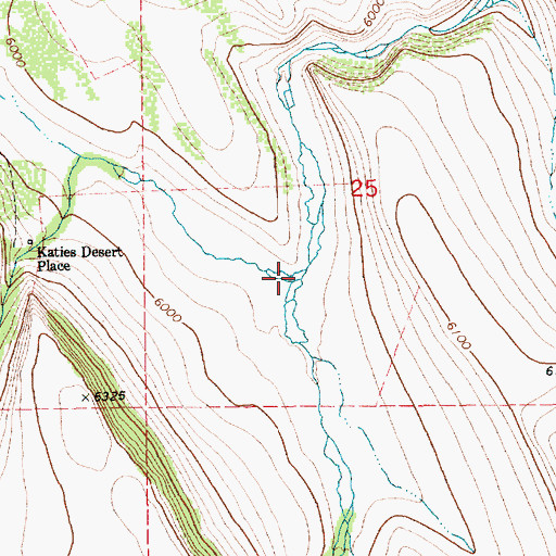 Topographic Map of West Fork Bull Creek, ID