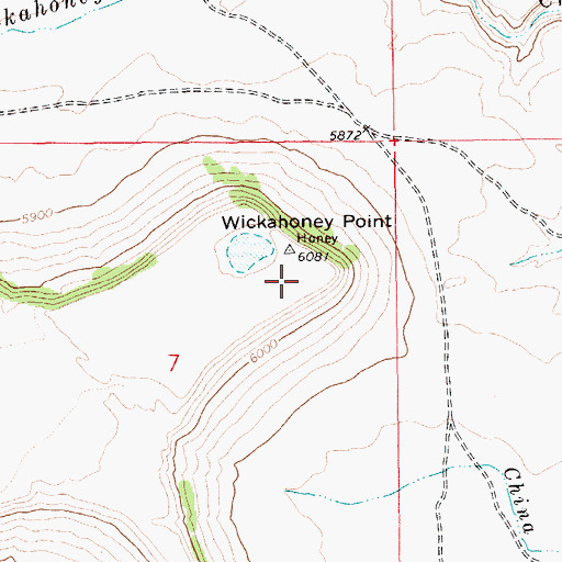 Topographic Map of Wickahoney Point, ID