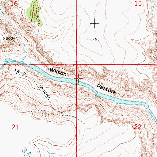Topographic Map of Wilson Pasture, ID