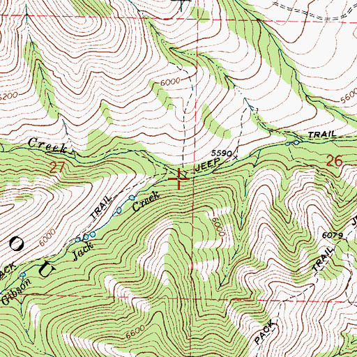 Topographic Map of North Fork Gibson Jack Creek, ID