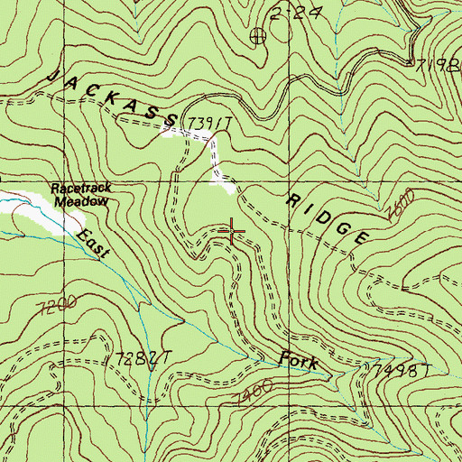 Topographic Map of Jackass Ridge, ID