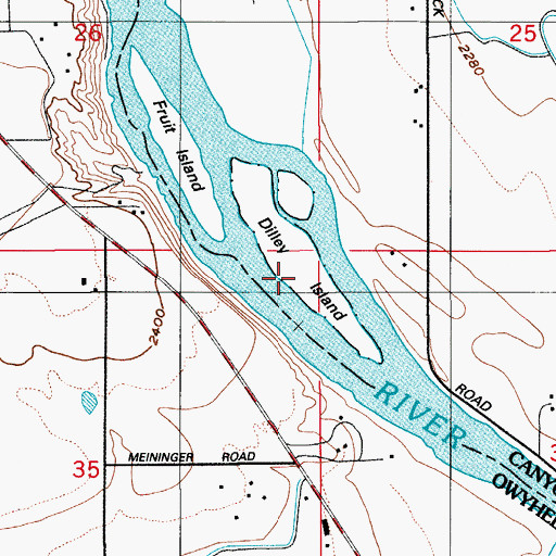 Topographic Map of Dilley Island, ID