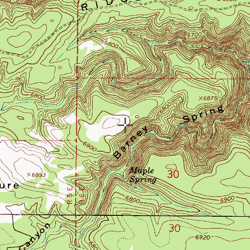 Topographic Map of Barney Ridge, AZ