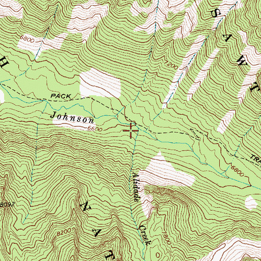 Topographic Map of Alidade Creek, ID