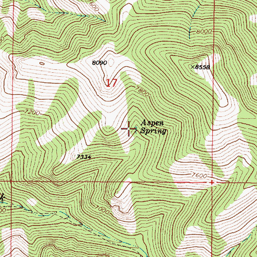 Topographic Map of Aspen Spring, ID