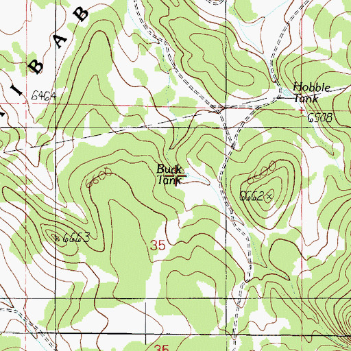 Topographic Map of Buck Tank, AZ