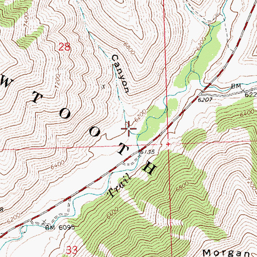 Topographic Map of Badger Canyon, ID