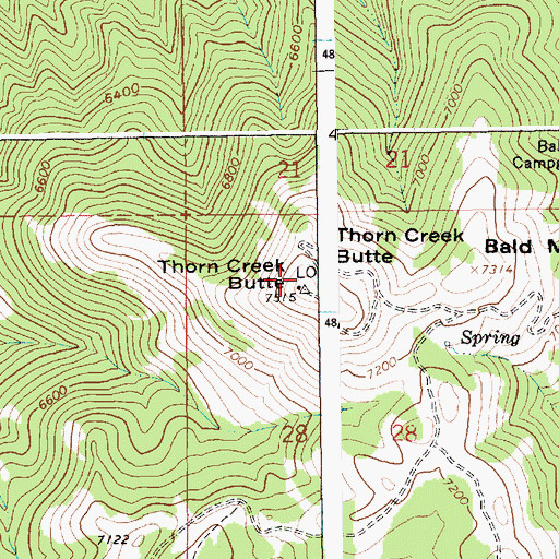 Topographic Map of Bald Mountain, ID