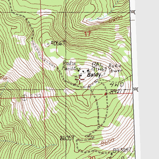 Topographic Map of Baldy, ID