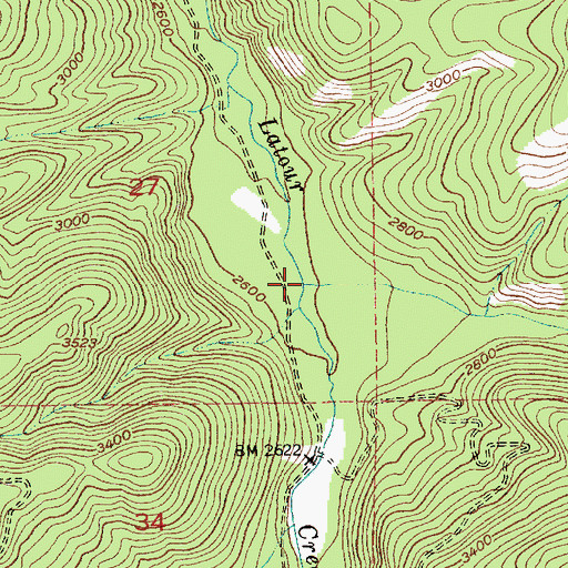 Topographic Map of Baldy Creek, ID