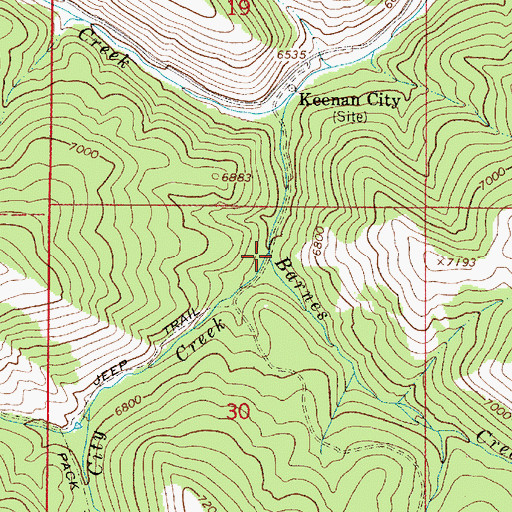 Topographic Map of Barnes Creek, ID