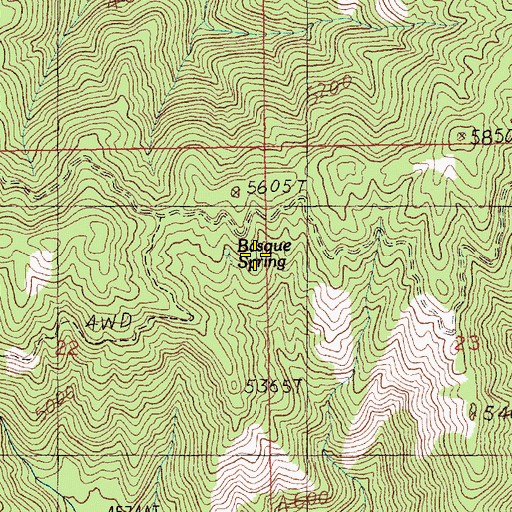 Topographic Map of Basque Spring, ID