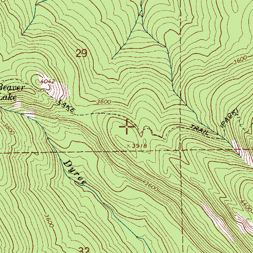 Topographic Map of Beaver Lake Trail, ID