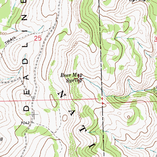 Topographic Map of Beer Mug Spring, ID