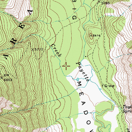 Topographic Map of Big Meadows, ID