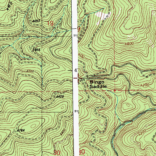 Topographic Map of Bingo Saddle, ID
