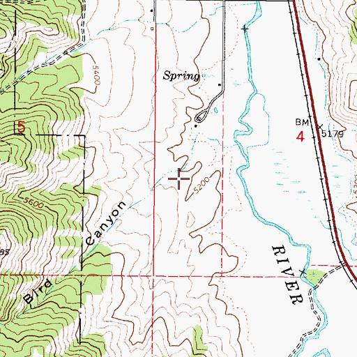 Topographic Map of Bird Canyon, ID
