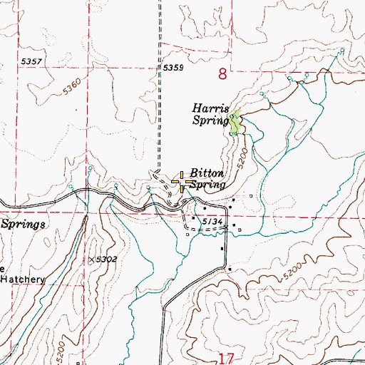 Topographic Map of Bitton Spring, ID