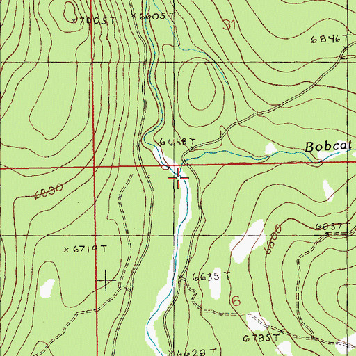 Topographic Map of Bobcat Creek, ID